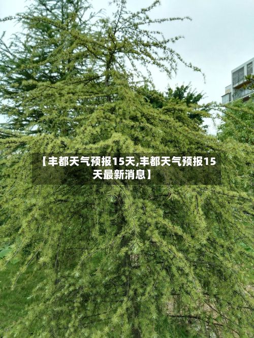 【丰都天气预报15天,丰都天气预报15天最新消息】-第1张图片