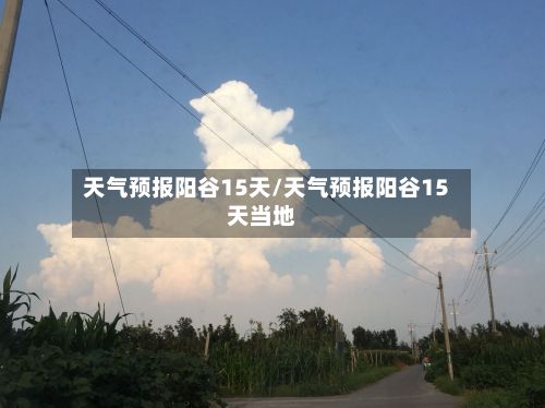 天气预报阳谷15天/天气预报阳谷15天当地-第1张图片
