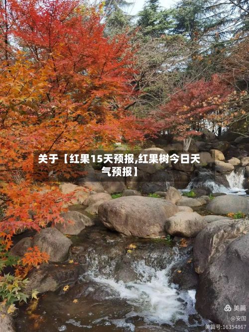 关于【红果15天预报,红果树今日天气预报】-第1张图片