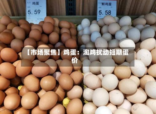 【市场聚焦】鸡蛋：淘鸡扰动短期蛋价-第1张图片