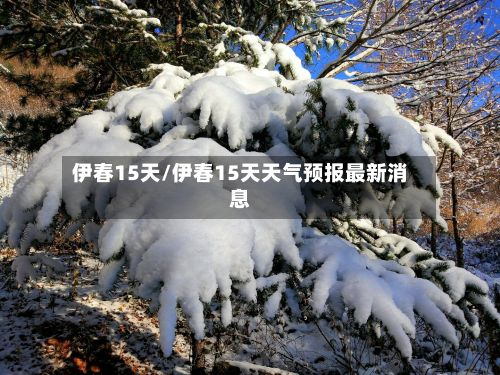 伊春15天/伊春15天天气预报最新消息-第1张图片