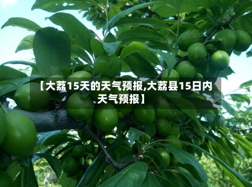 【大荔15天的天气预报,大荔县15日内天气预报】-第1张图片