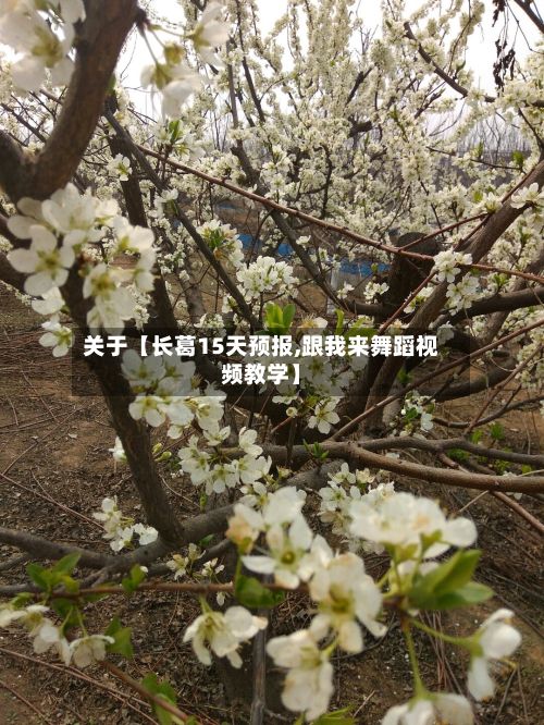 关于【长葛15天预报,跟我来舞蹈视频教学】-第1张图片
