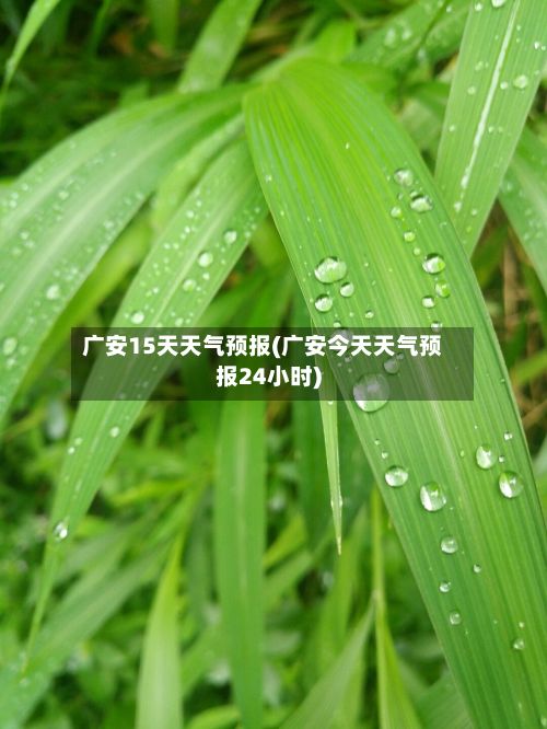 广安15天天气预报(广安今天天气预报24小时)-第1张图片