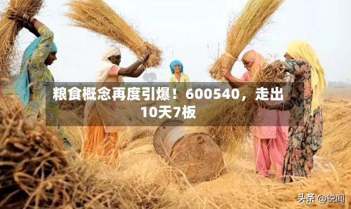 粮食概念再度引爆！600540，走出10天7板-第1张图片