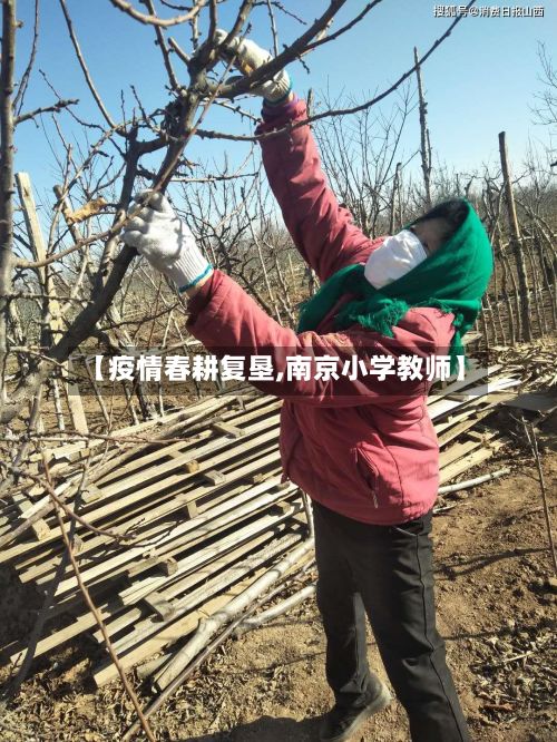 【疫情春耕复垦,南京小学教师】-第1张图片