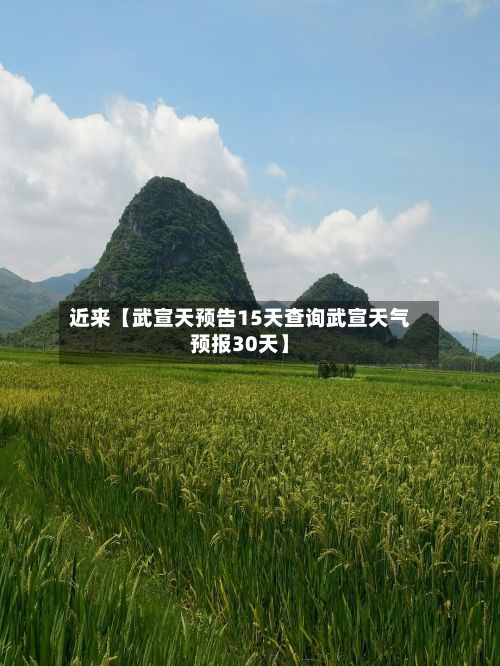 近来【武宣天预告15天查询武宣天气预报30天】-第1张图片