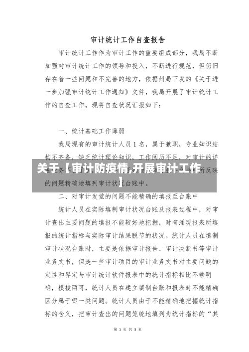 关于【审计防疫情,开展审计工作】-第1张图片