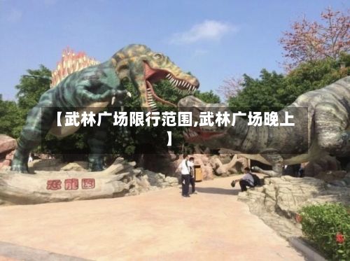 【武林广场限行范围,武林广场晚上】-第1张图片