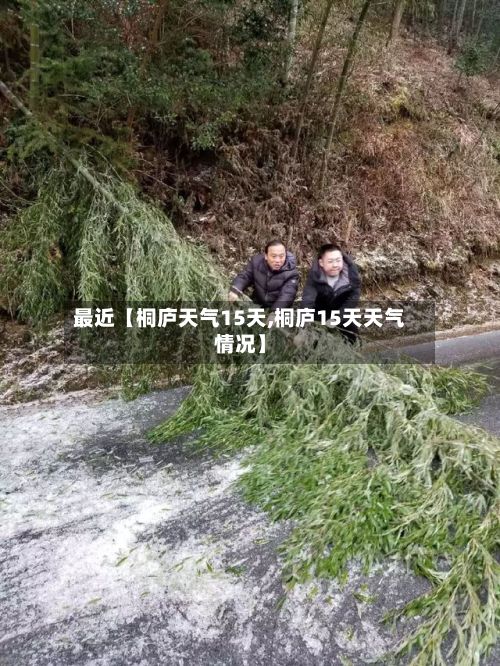 最近【桐庐天气15天,桐庐15天天气情况】-第1张图片
