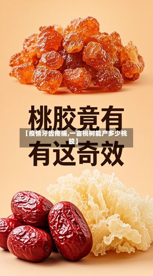 【疫情牙齿疼痛,一亩桃树能产多少桃胶】-第1张图片