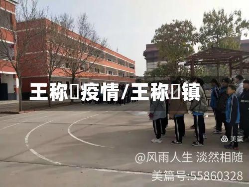 王称堌疫情/王称堌镇-第1张图片