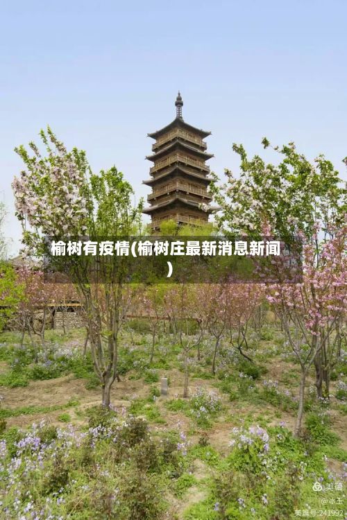 榆树有疫情(榆树庄最新消息新闻)-第1张图片