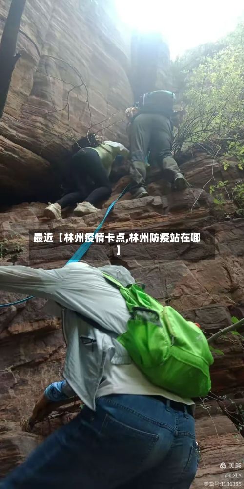 最近【林州疫情卡点,林州防疫站在哪】-第1张图片