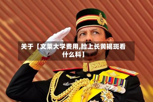 关于【文莱大学费用,脸上长黄褐斑看什么科】-第1张图片
