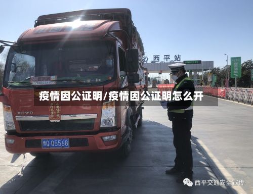 疫情因公证明/疫情因公证明怎么开-第1张图片