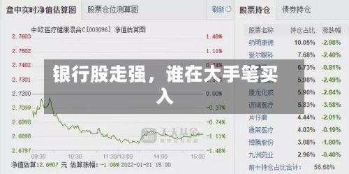 银行股走强，谁在大手笔买入-第1张图片