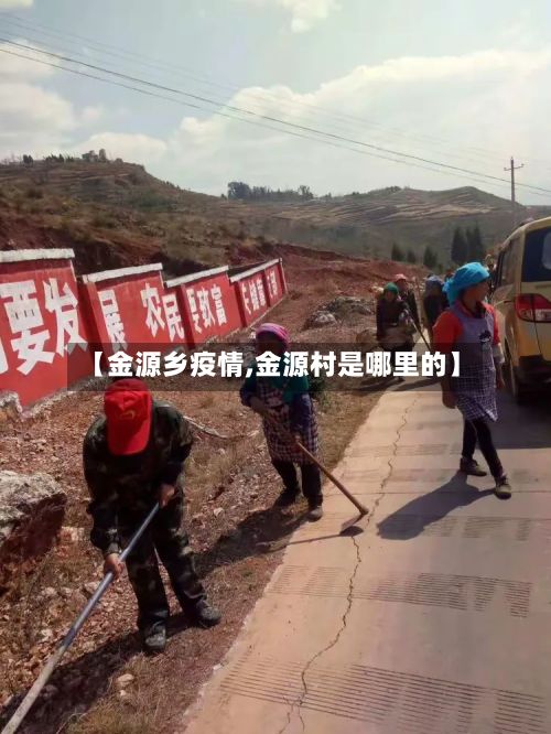 【金源乡疫情,金源村是哪里的】-第1张图片