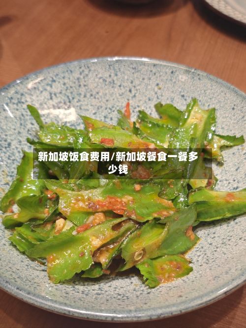 新加坡饭食费用/新加坡餐食一餐多少钱-第1张图片