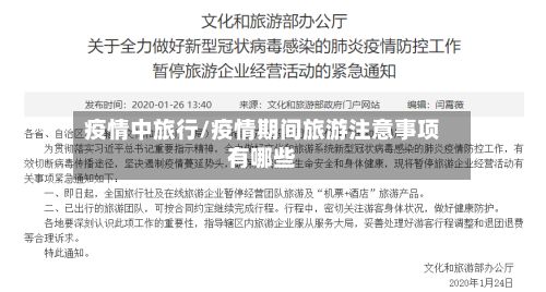 疫情中旅行/疫情期间旅游注意事项有哪些-第1张图片