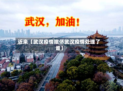 近来【武汉疫情撤侨武汉疫情处理了谁】-第1张图片