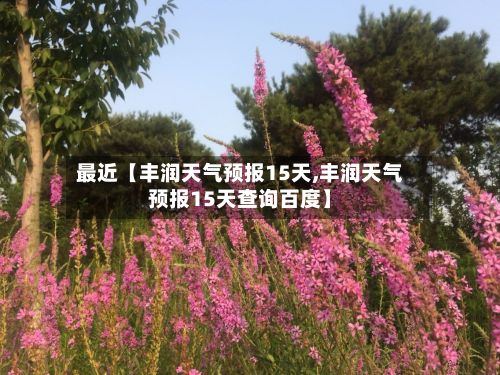 最近【丰润天气预报15天,丰润天气预报15天查询百度】-第1张图片
