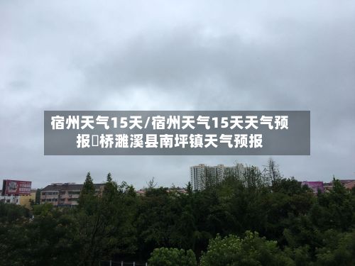 宿州天气15天/宿州天气15天天气预报埇桥濉溪县南坪镇天气预报-第1张图片