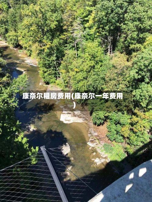 康奈尔租房费用(康奈尔一年费用)-第1张图片