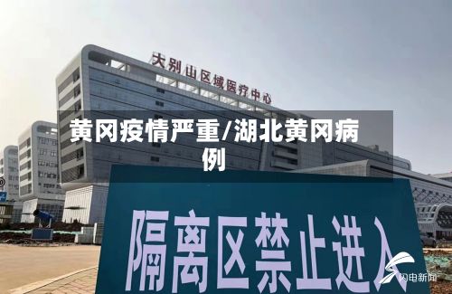 黄冈疫情严重/湖北黄冈病例-第1张图片