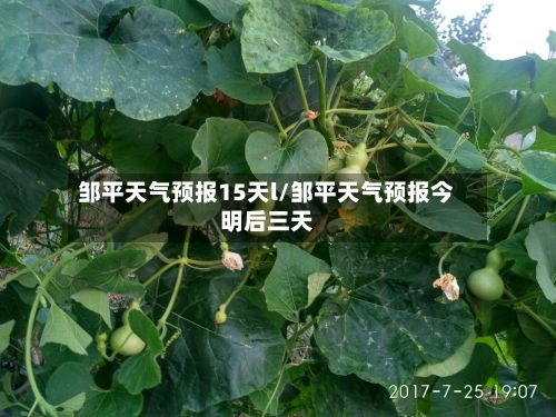 邹平天气预报15天l/邹平天气预报今明后三天-第1张图片