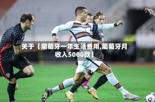 关于【葡萄牙一年生活费用,葡萄牙月收入5000欧】-第1张图片