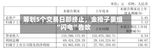 筹划5个交易日即终止	，金橙子重组“闪电”告吹-第1张图片