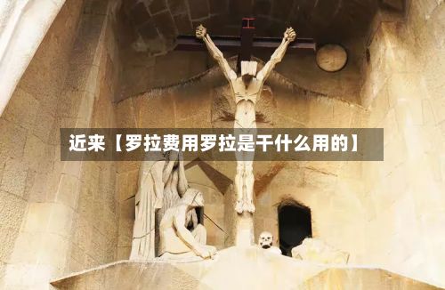 近来【罗拉费用罗拉是干什么用的】-第1张图片