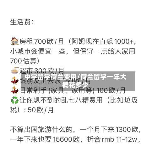 中学留学荷兰费用/荷兰留学一年大概花多少-第1张图片