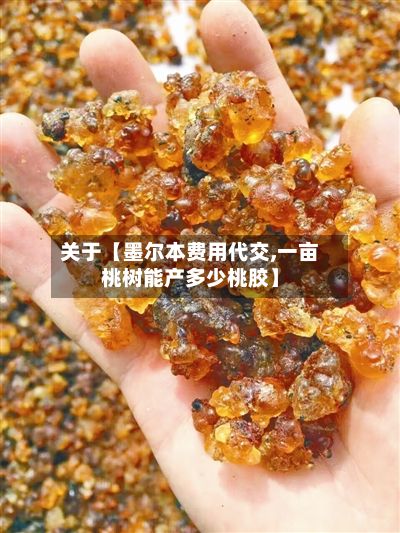 关于【墨尔本费用代交,一亩桃树能产多少桃胶】-第1张图片