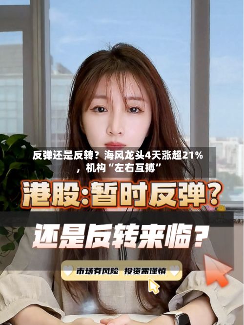 反弹还是反转？海风龙头4天涨超21%，机构“左右互搏	”-第1张图片