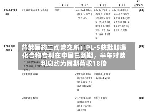 普莱医药二闯港交所：PL-5获批即遇化合物专利在中国已到期，半年对赌利息约为同期营收18倍-第1张图片