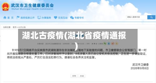 湖北古疫情(湖北省疫情通报)-第1张图片