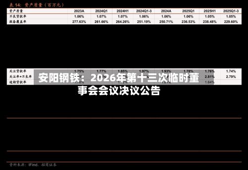 安阳钢铁:2026年第十三次临时董事会会议决议公告-第1张图片