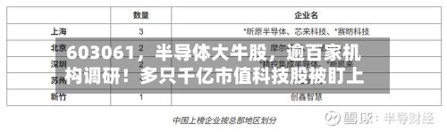 603061，半导体大牛股	，逾百家机构调研！多只千亿市值科技股被盯上-第1张图片