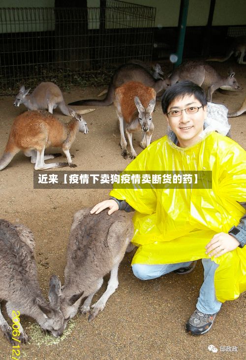 近来【疫情下卖狗疫情卖断货的药】-第1张图片