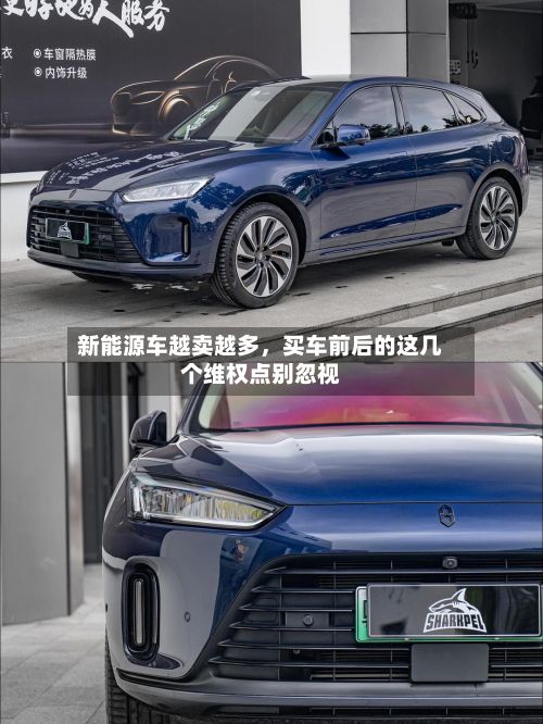 新能源车越卖越多，买车前后的这几个维权点别忽视-第1张图片