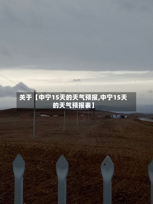 关于【中宁15天的天气预报,中宁15天的天气预报表】-第1张图片