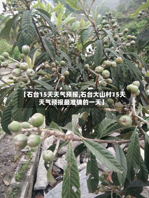 【石台15天天气预报,石台大山村15天天气预报最准确的一天】-第1张图片