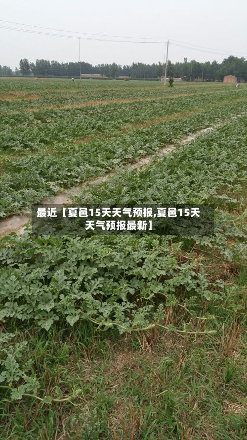 最近【夏邑15天天气预报,夏邑15天天气预报最新】-第1张图片