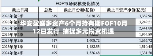 华安盈盛多资产6个月持有期FOF10月12日发行 捕捉多元投资机遇-第1张图片