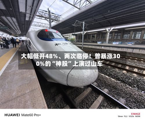 大幅低开48%、两次临停！曾暴涨300%的“神股”上演过山车-第1张图片