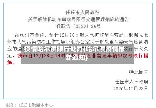 疫情哈尔滨限行处罚(哈尔滨疫情最新通知)-第1张图片
