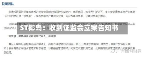 ST椰岛:收到证监会立案告知书-第1张图片