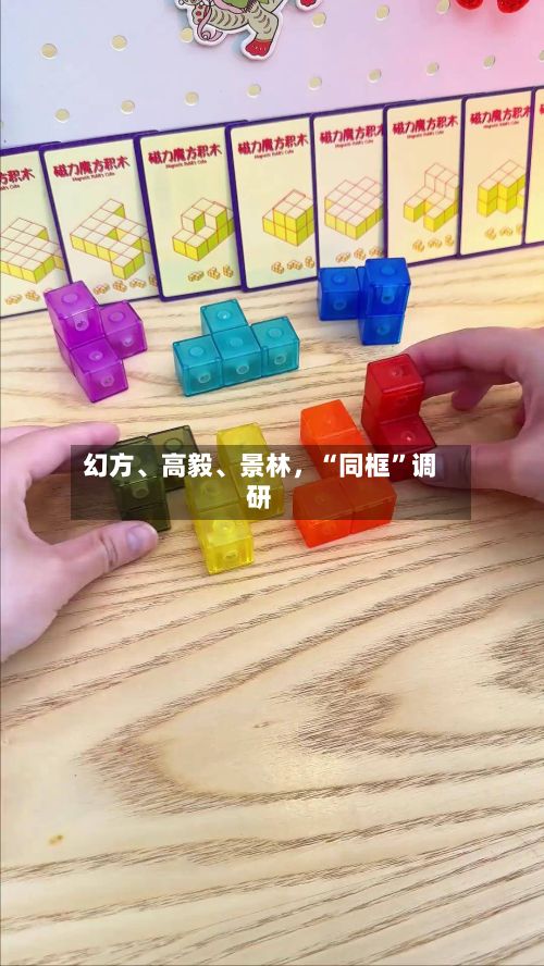 幻方、高毅	、景林，“同框	”调研-第1张图片